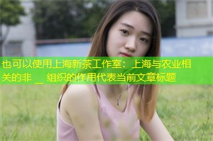 上海与农业相关的非 __ 组织的作用